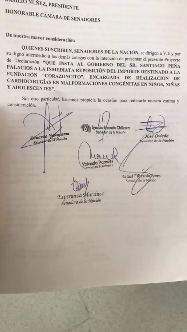Documento presentado en el Senado