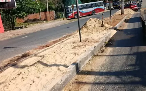 Restos de los lapachos talados generaron indignaci�n entre los vecinos, que exigen explicaciones y sanciones.