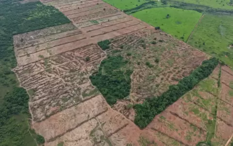 Desmonte y deforestaci�n.