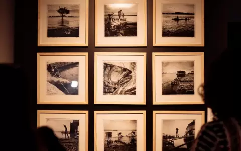 Obra de la muestra.