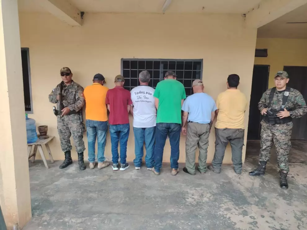 Tala ilegal de �rboles en Alto Paran�.