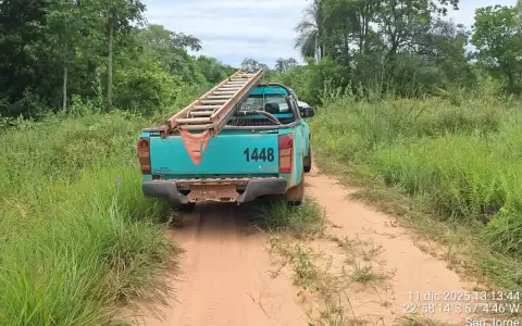 Tala ilegal de �rboles en Alto Paran�.