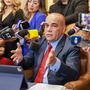"Senadur�a vitalicia es para que expresidentes tengan una vida activa en la pol�tica", dice Bachi