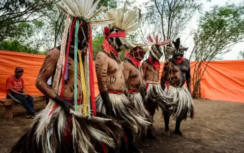 Ceremonia Guan�. Cortes�a