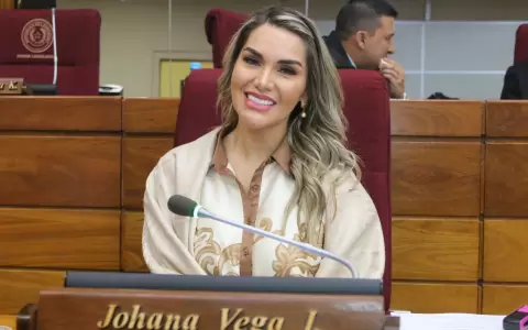 Diputada, Johana Vega.