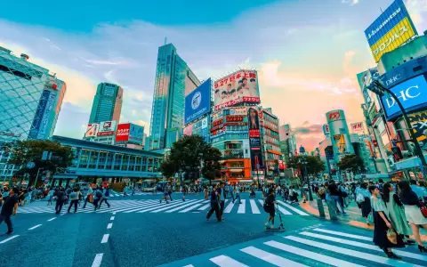 El programa contempla recorridos por cuatro ciudades clave: Osaka, Kobe, Kyoto y Tokio.