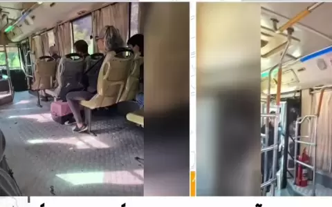 La mujer afectada recibi� dos meses de pasajes gratuitos y alimento para su mascota.