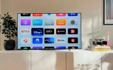 "Streaming" fue a�adido al diccionario de la RAE.