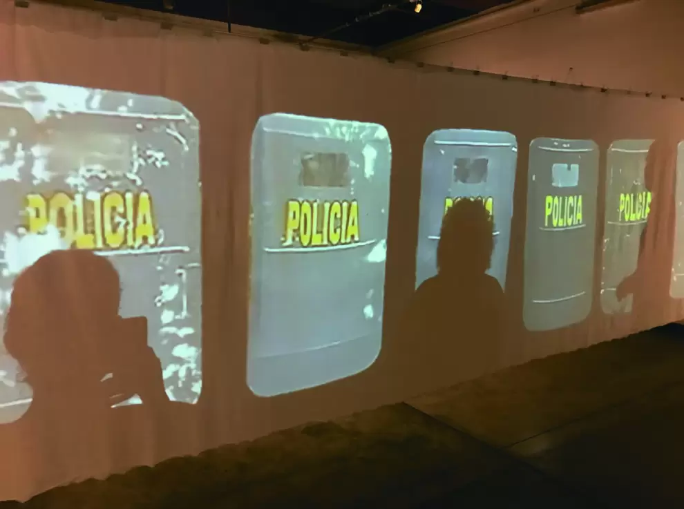 Adriana Gonz�lez Brun, S�mbolos patrios, 2021. Instalaci�n, proyecci�n de imagen sobre pa�o de algod�n. 100 x 500 cm aprox.