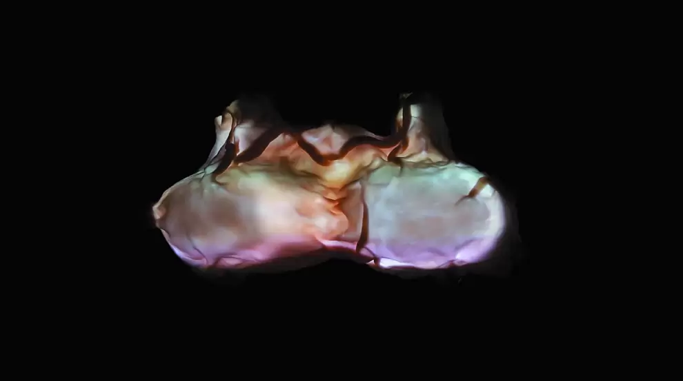 Adriana Gonz�lez Brun, El conjuro, 2016. Video-instalaci�n. Escultura de pl�stico termo-modelado, video y sonido. Dimensiones variables.