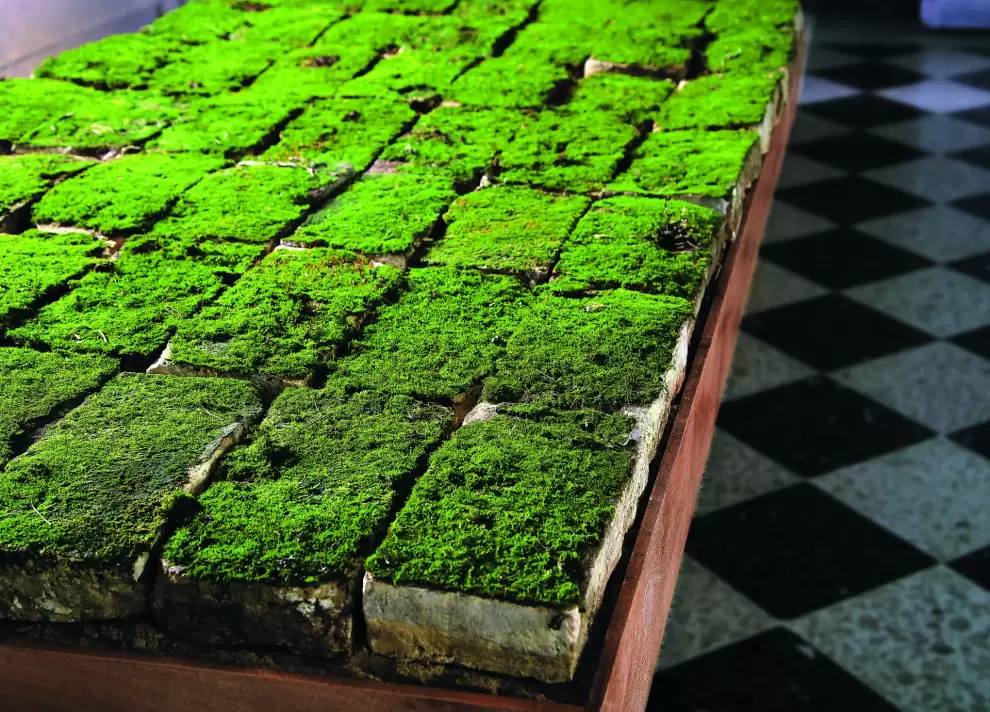 M�nica Gonz�lez, Bosque en miniatura, 2022. Ladrillos cubiertos de musgo en contenedor de madera. Objeto-instalaci�n. 100 x 200 x 30 cm.