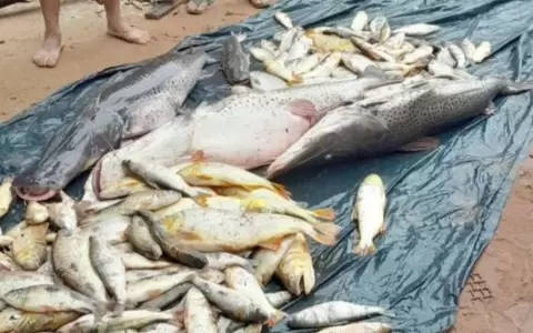 mortandad.de.peces