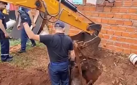 Rescatan a caballo que cay� en un pozo en San Ignacio