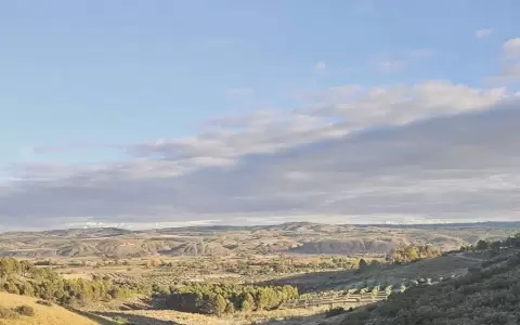 Paisaje de la Vega de Chinch�n.