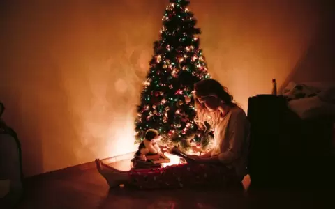 Navidad en soledad.
