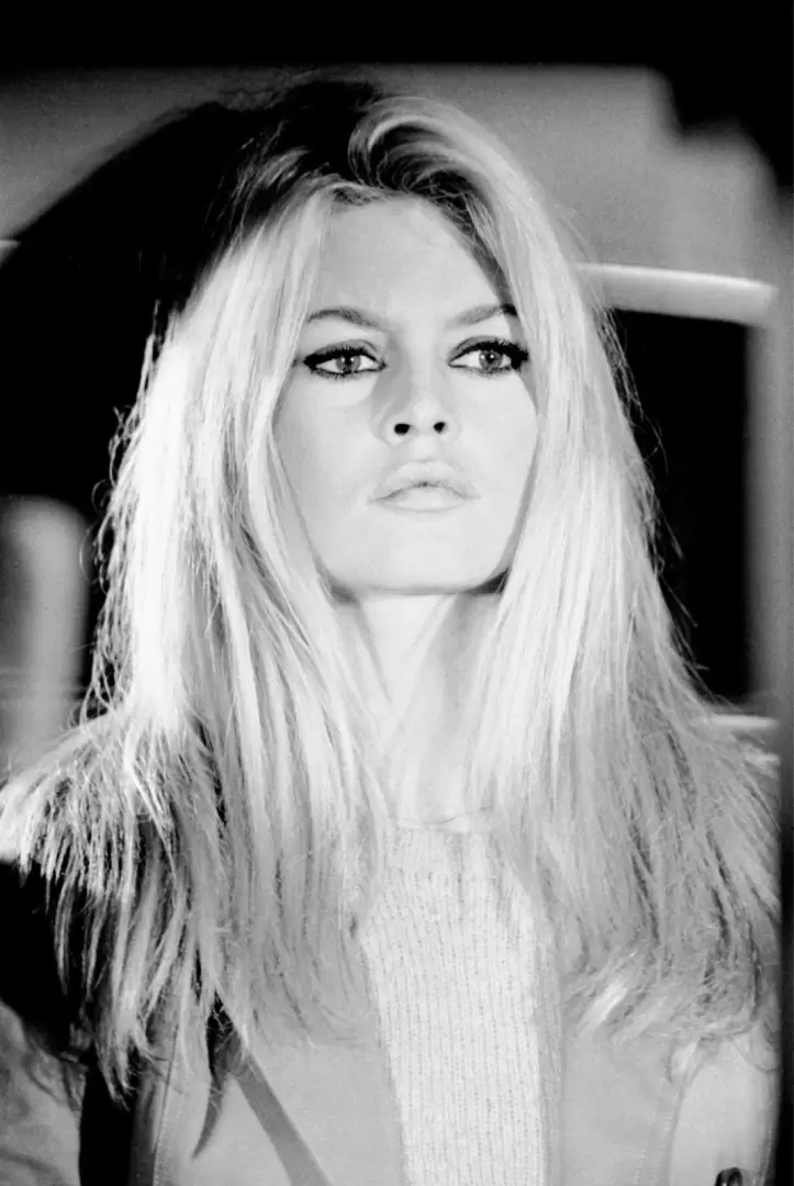 Brigitte Bardot. Cortes�a