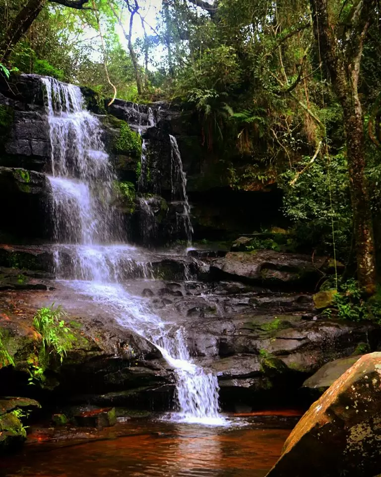 Parque Nacional Ybycu�. Foto: Facebook.