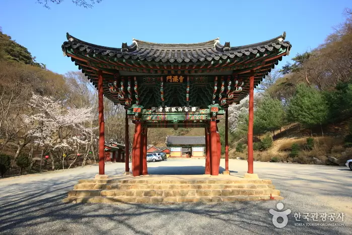El Templo de Gounsa, en Corea del Sur, qued� pr�cticamente destruido tras un incendio forestal en 2025.Foto: visitkorea.or.kr