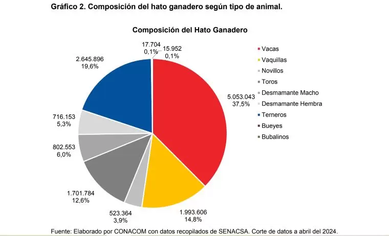 grafico