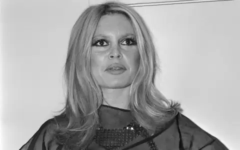Brigitte Bardot asiste a la 24� "Noche del cine" (Nuit du cin�ma) en el Teatro Marigny, en Par�s, el 28 de noviembre de 1969.
