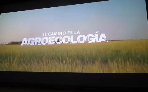 Festival Internacional de Cine Ambiental. Edici�n anterior.