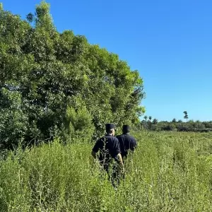 Desaparición de menor con TEA mantiene en alerta a Pilar