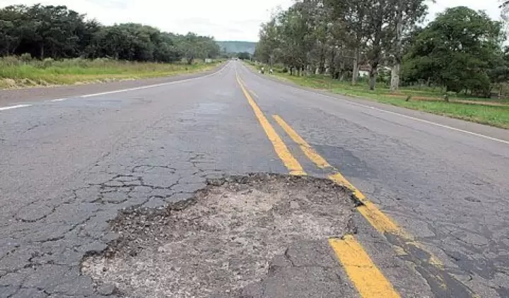 Bache.