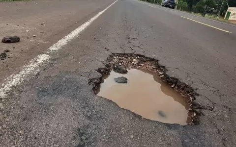 Baches .
