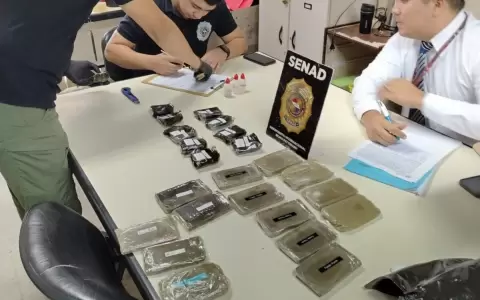 Droga "premium". SENAD intercepta cargamento a�reo de cannabis dentro de artefactos dom�sticos. Foto:Gentileza.