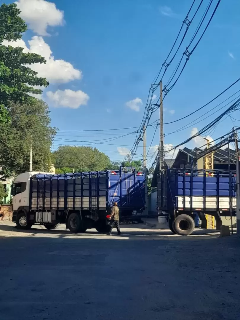 Barrio Tablada Nueva de Asunción: acusan reincidencia de frigoríficos por ingreso de ganado en zona restringida. Foto: Gentileza.