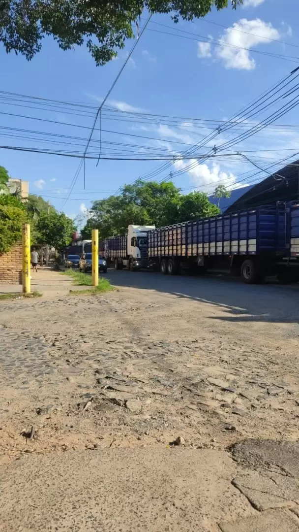 Barrio Tablada Nueva de Asunción: acusan reincidencia de frigoríficos por ingreso de ganado en zona restringida. Foto: Gentileza.