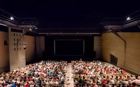 Festival de Cine de Almagro. Edici�n anterior.