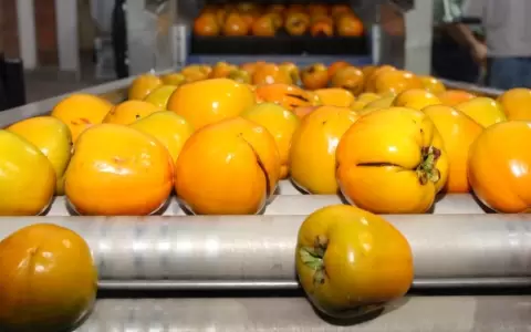 42 nuevos mercados internacionales para rubros de la producci�n nacional.