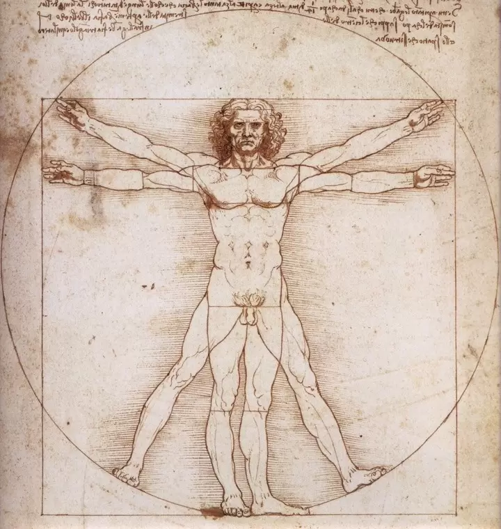 El hombre de Vitruvio, obra de Leonardo Da Vinci.