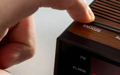 Posponer la alarma.