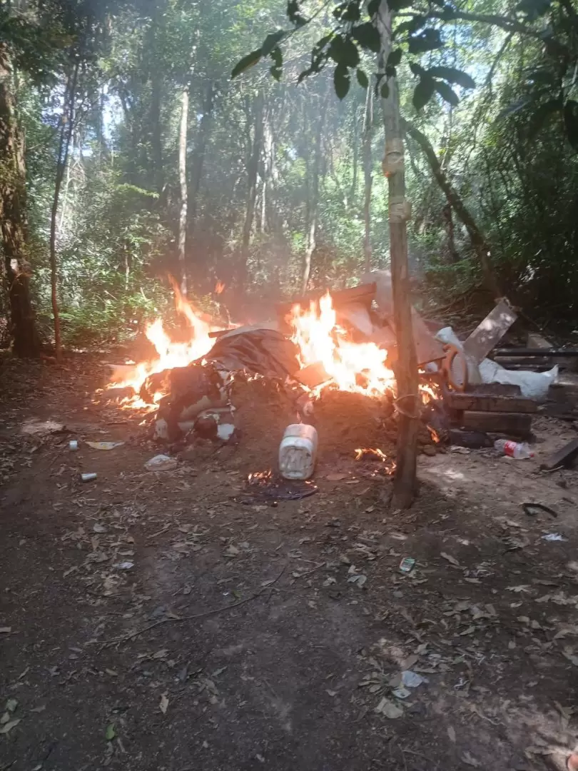 Incautan casi una tonelada de marihuana en Tava'i. Foto: Gentileza.