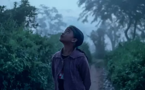 "Sombras del bosque" de Akash Basumatari y Shrutiman Deori. Uno de los proyectos seleccionados en la convocatoria anterior.