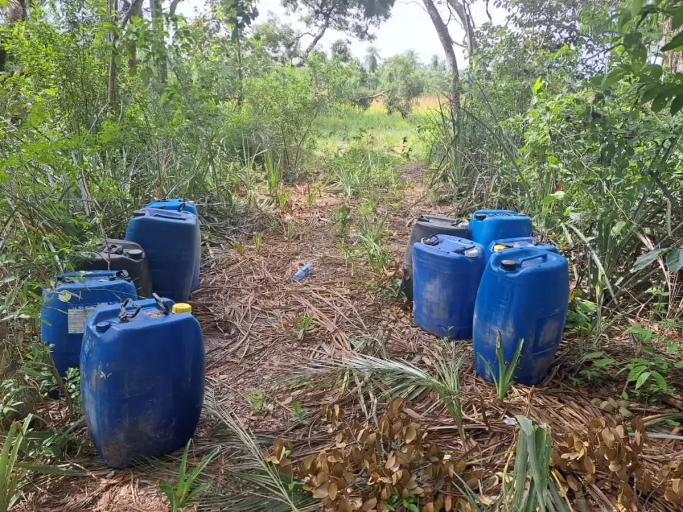 Zona de avioneta colombiana incendiada.