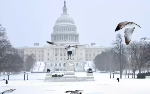 Tormenta de nieve que azota Estados Unidos, impide vuelos y deja sin energ�a el�ctricas a mas de 70.000 clientes.