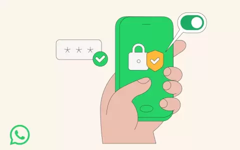 Nuevas funciones de privacidad en WhatsApp.