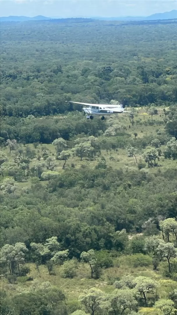 Avioneta irregular.