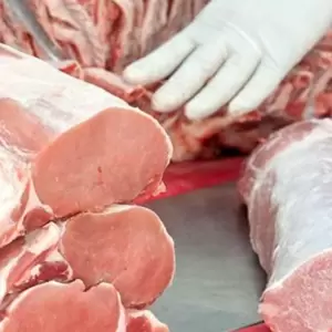 Exportaciones de carne tocaron los USD 920 millones hasta mayo, sectores porcino y aviar en alza