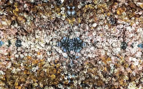 Victor Beckelmann, Sin t�tulo (Rec�ndito San Bernardino), 2026.  Fotograf�a sobre tela, pintura. Medidas variables.  Cortes�a del artista