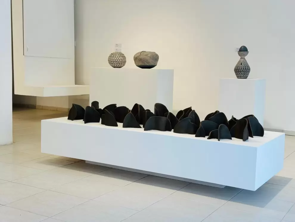 Jorge Enciso, "Ra�ces", de la Serie Cuentos Mestizos, 2024. Instalaci�n cer�mica. Cortes�a