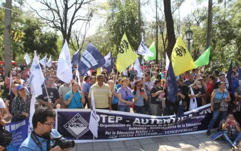 Docentes