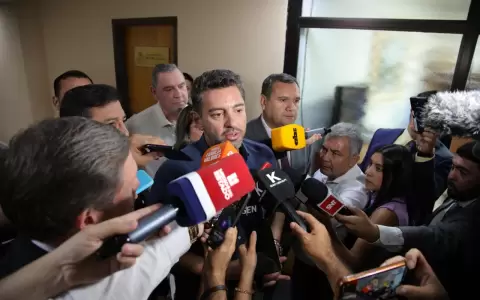 Pedro Alliana, vicepresidente en el Congreso.