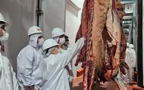 Frigor�ficos se desmarcan del precio de la carne.