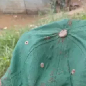 Hallazgo de la gorra de Tobías concentra la búsqueda en el arroyo Tayazuapé