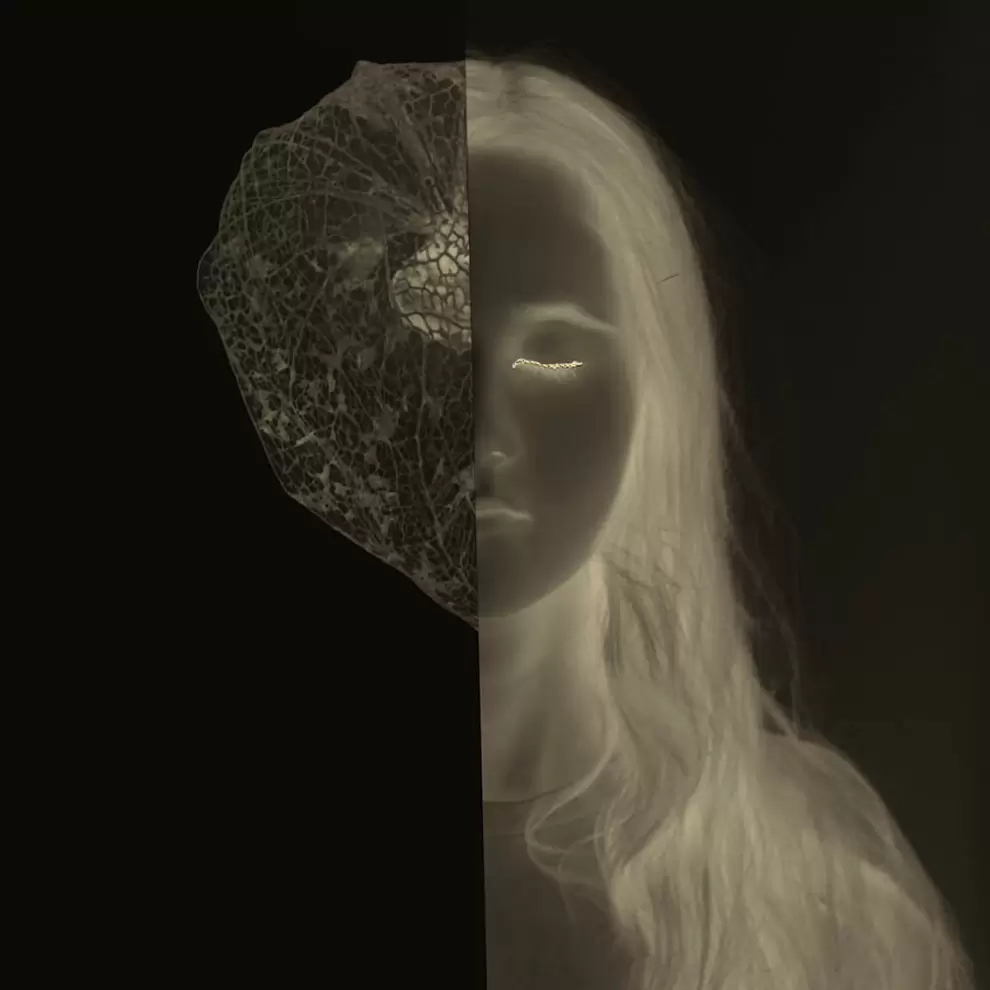 � Marie Sueur
