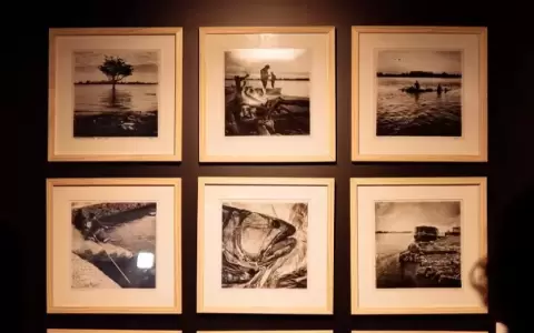 Obra de la muestra "Del r�o las coronas".
